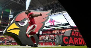 Cardinals NFL Arizona Sports Betting