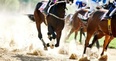 The sale of Turf Paradise should not affect horse racing in the short term.